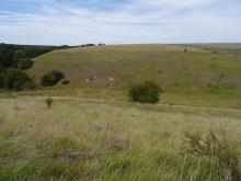 Vu du sous-site de la Ferme de l'Hopital